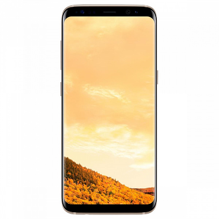 Смартфон Samsung Galaxy S8